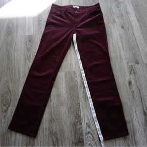 Loft Velvet Made and Love Curvy Jeans size 29 Purple